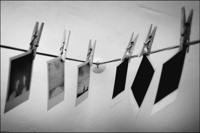 2800790434_b224595203_o