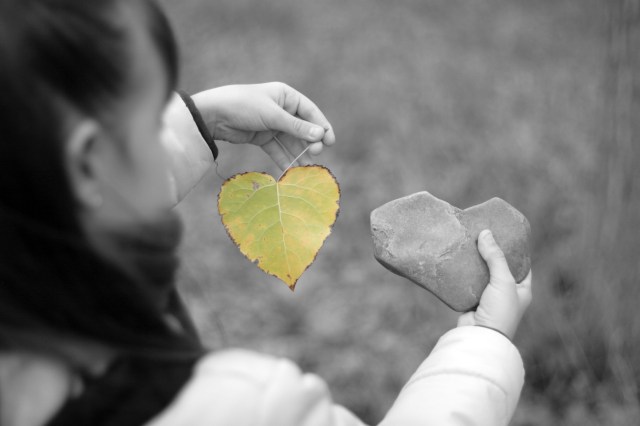 4429895503_2be4d7123f_o