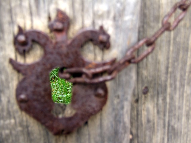 Imagen obtenida de Flickr, propiedad de Julio César Carletti García